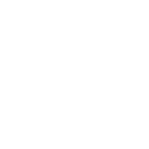Lords of Strategy
